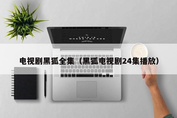 电视剧黑狐全集（黑狐电视剧24集播放）